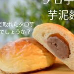 480776848_659414759990872_6783268021931538050_n 【大阪】Papantreeパパンツリー 台灣麵包店