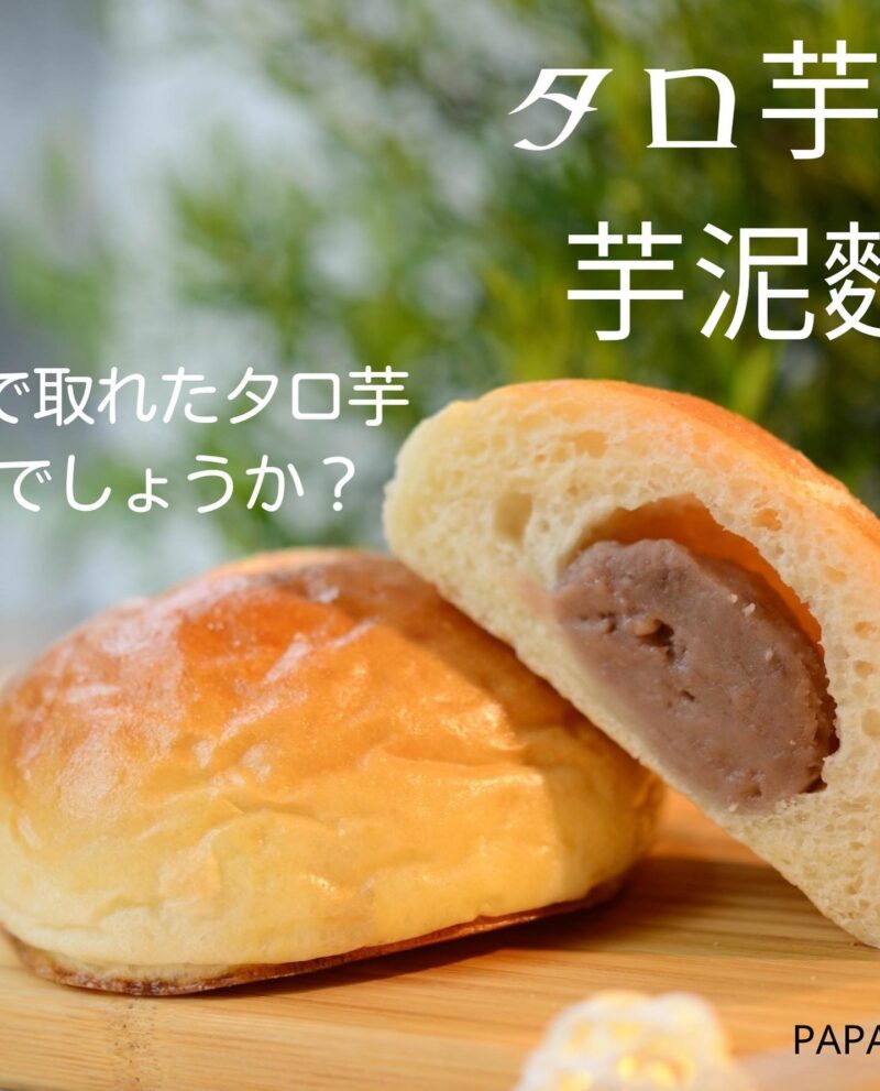 480776848_659414759990872_6783268021931538050_n 【大阪】Papantreeパパンツリー 台灣麵包店